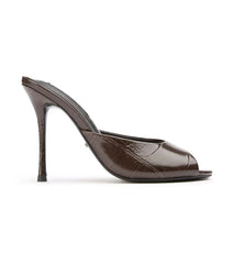 Sandra Choc Croco