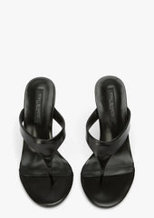 Dynasty Black Hi Shine