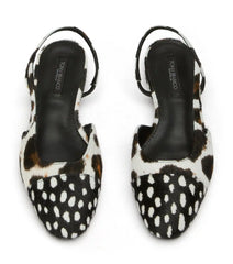 Pixie Snow Leopard/Black Speckle