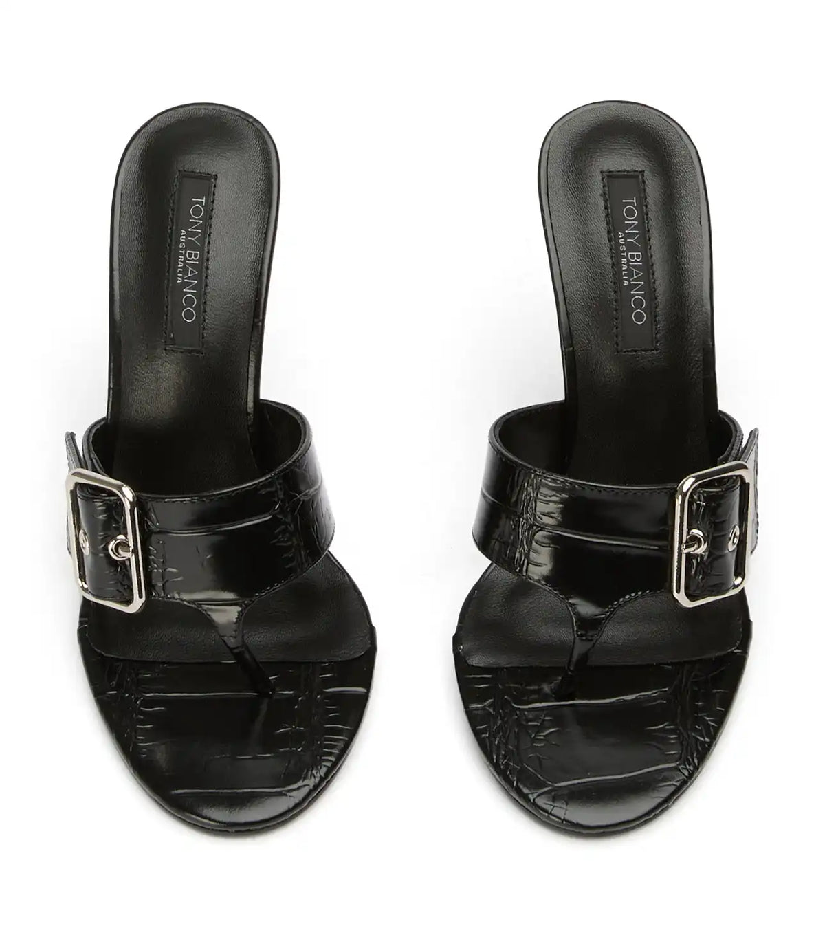 Dixon Black Croco