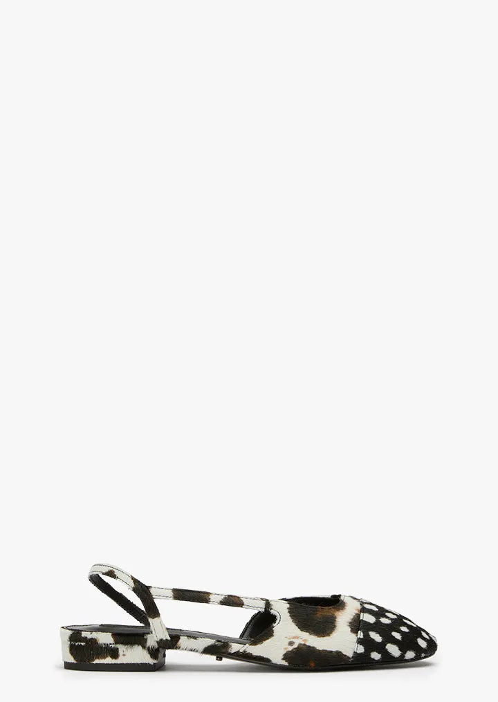 Pixie Snow Leopard/Black Speckle